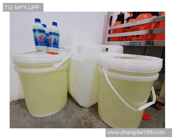 法兰克福球员西姆斯入选国家队备战，展示实力与担当